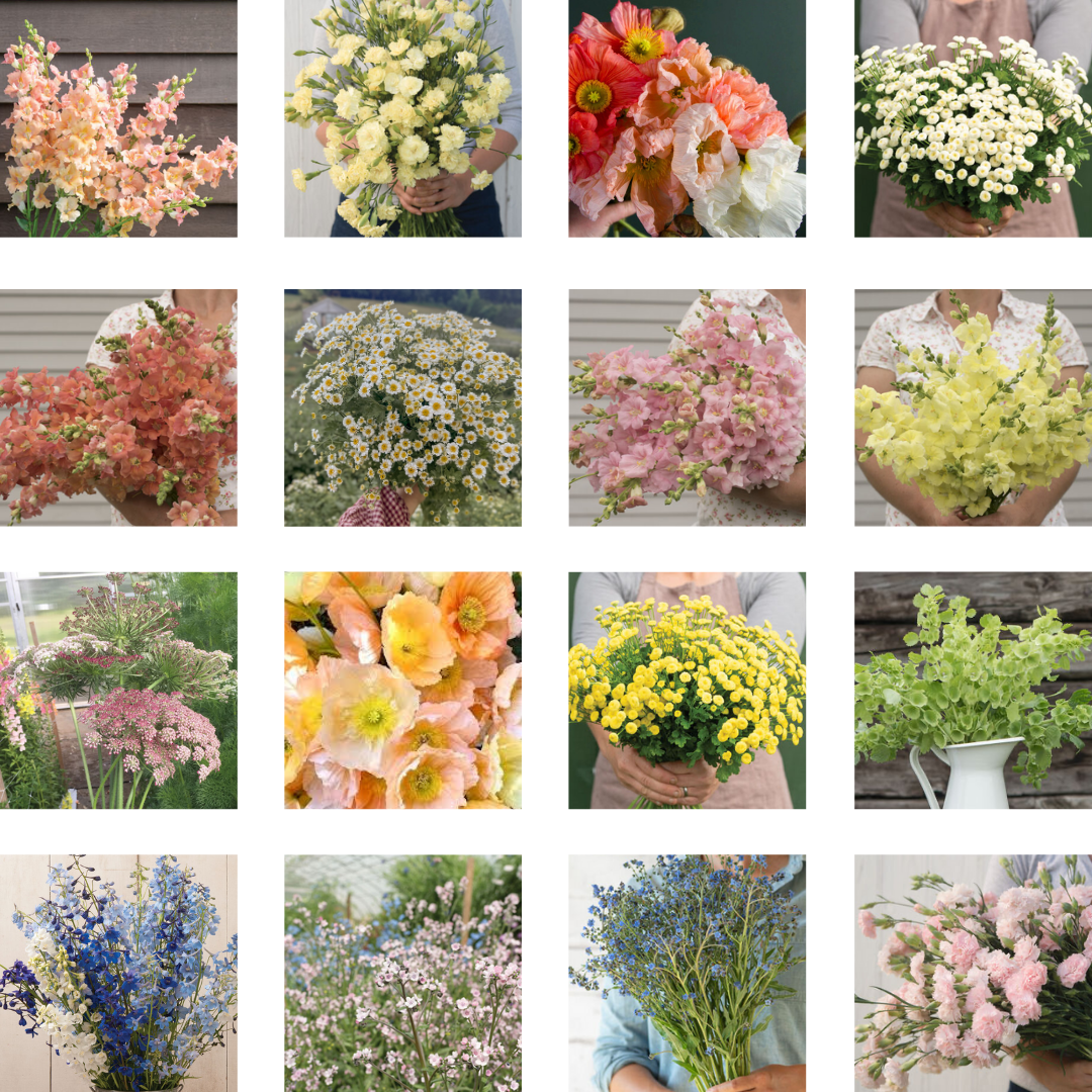 SPRING 2025 Flower Flock Subscription