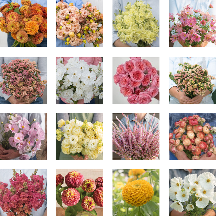 SUMMER 2025 Flower Flock Subscription